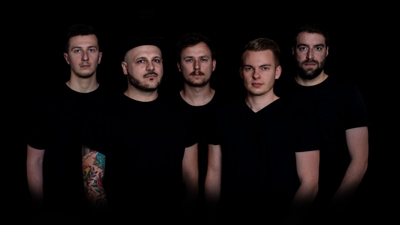 2024 wavelikewalls bands