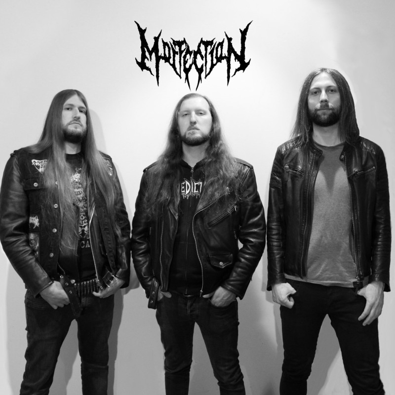 2025 morfection band